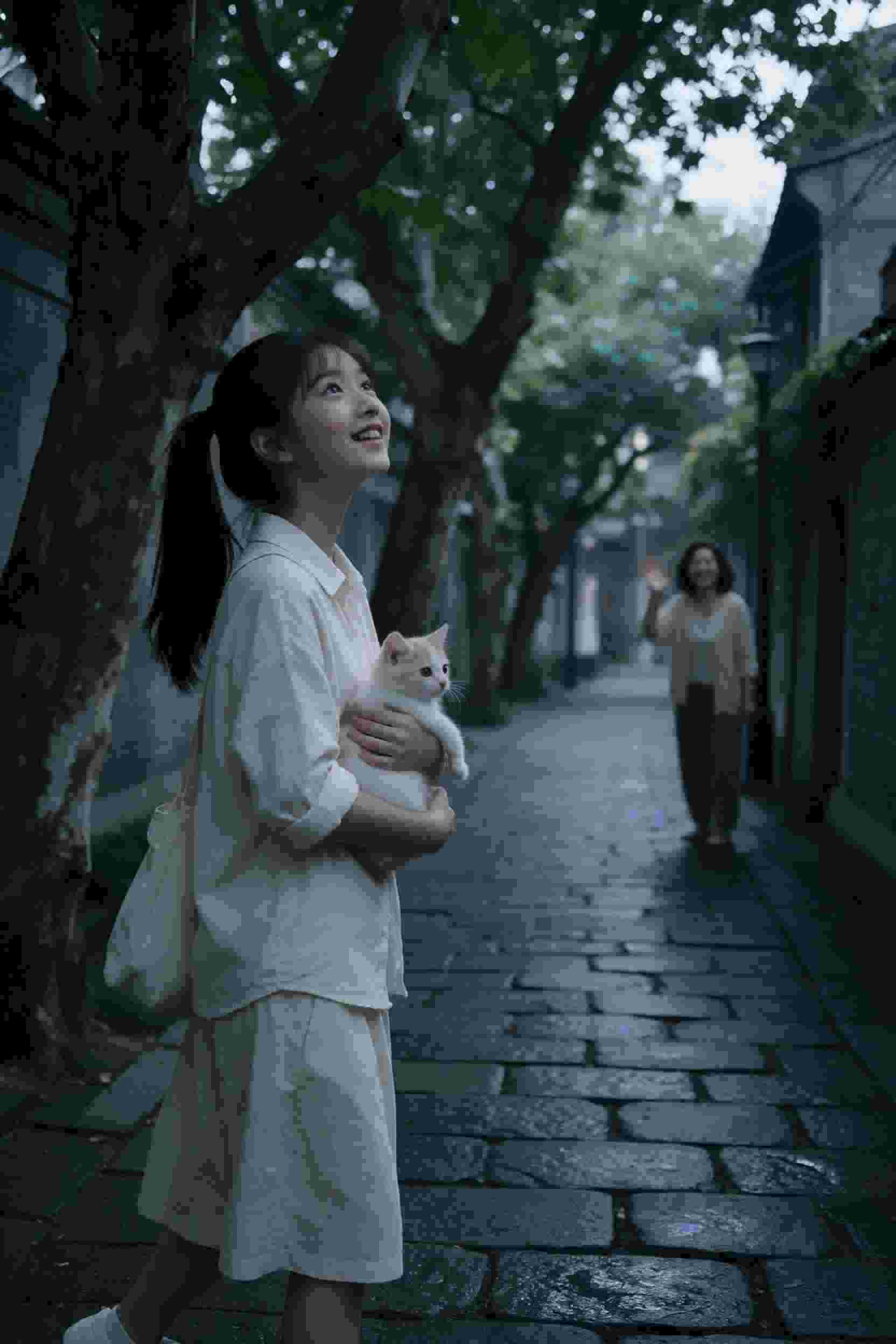 樱花谷恋歌